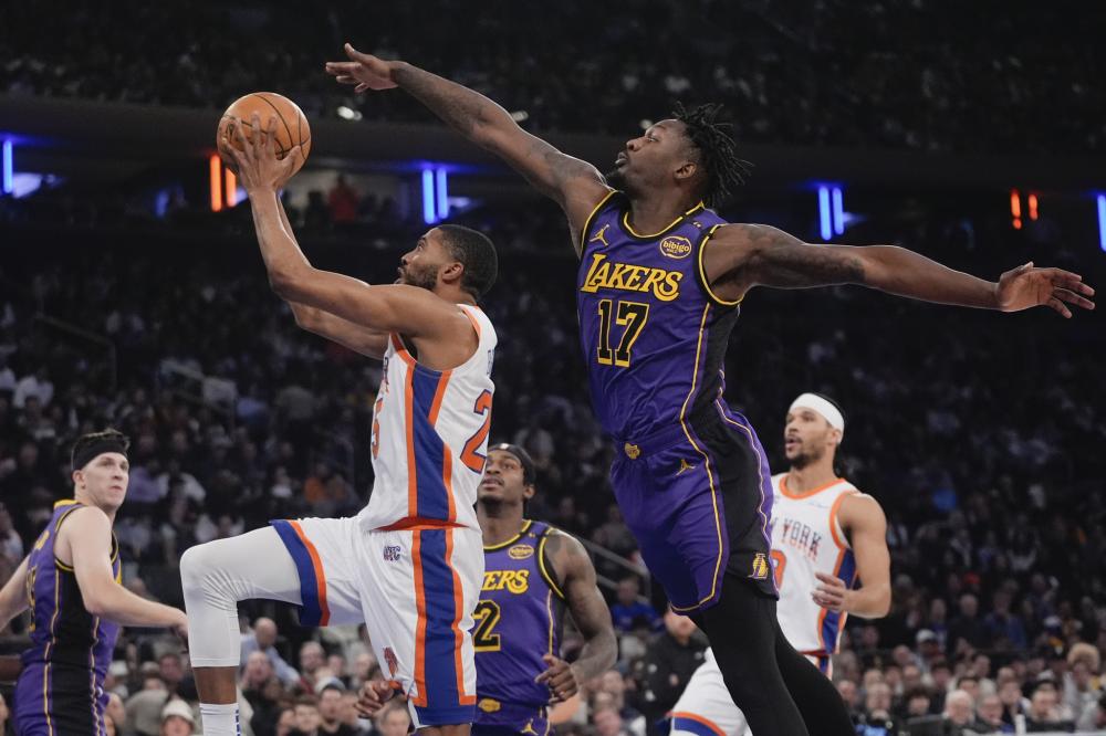 体系的多样 体系的多样